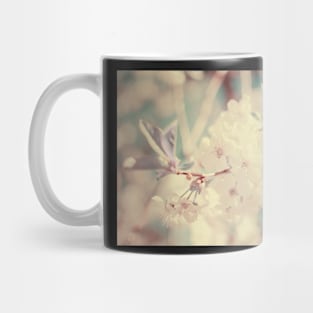 White Cherry Plum flowers Mug